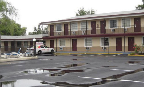 Dunedin Cove Motel Exterior photo